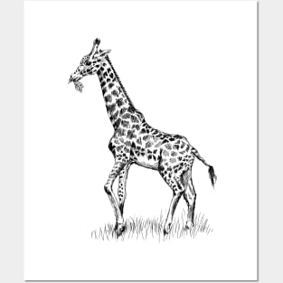 Giraffe Print Posters and Art